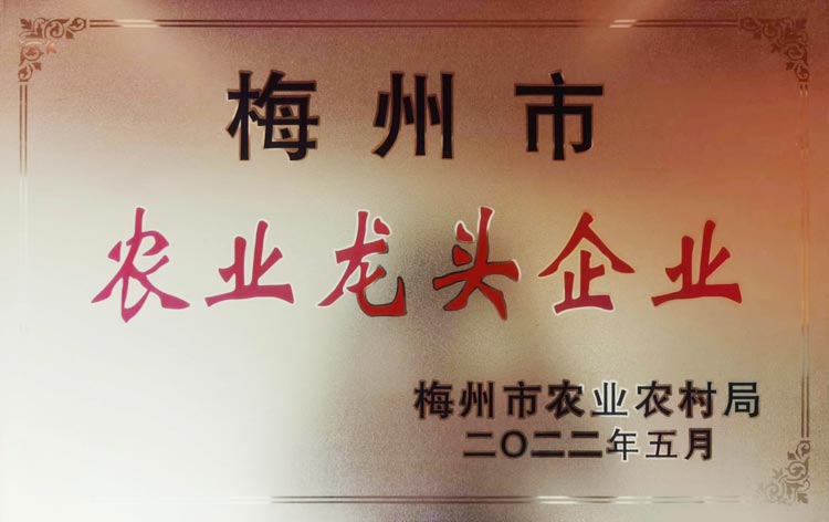 梅州市農(nóng)業(yè)龍頭企業(yè)